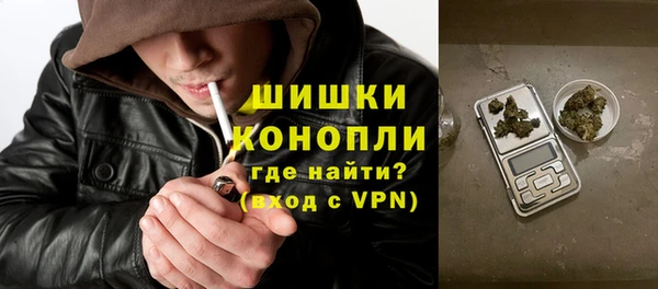 индика Аркадак