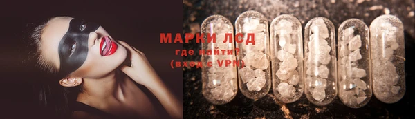 индика Аркадак