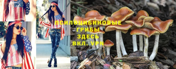стаф Красноперекопск