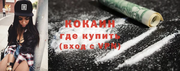 индика Аркадак