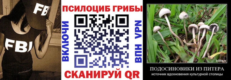 Галлюциногенные грибы Magic Shrooms  где можно купить   Новосиль 