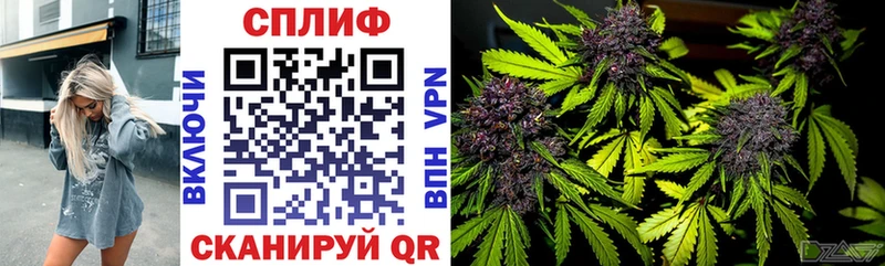 Каннабис Amnesia  kraken tor  Новосиль  продажа наркотиков 